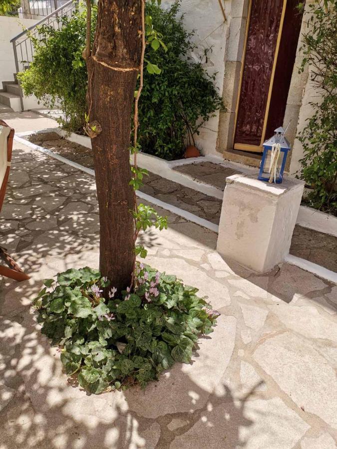 Giannas House Villa Symi Exterior photo
